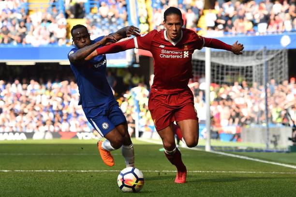 鹈鹕队不仅 鹈鹕队不仅